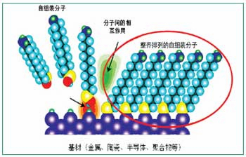 自组装分子膜技术